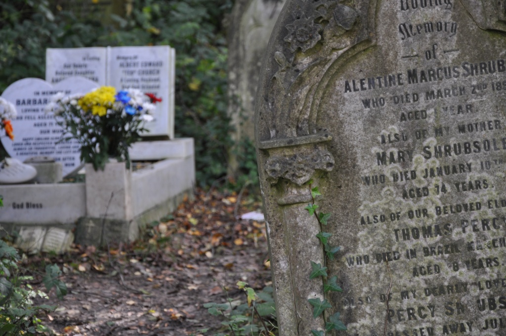 Abney Park Cemetery, London, November 2013