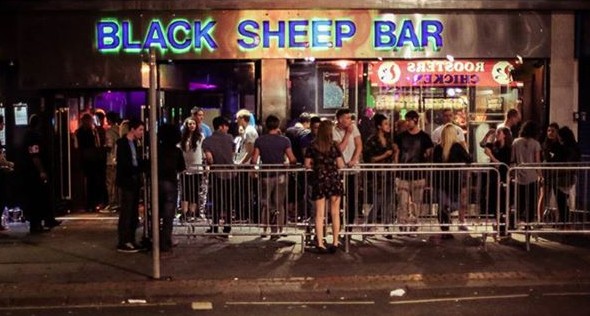 Black sheep3